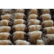 baklava çeşitleri